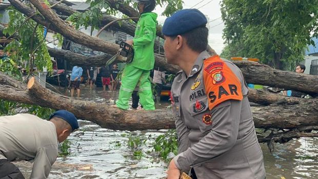 Brimob Polda Metro Jaya kümmert sich um umgestürzte Bäume in Tanjung Priok, Nord-Jakarta, nach starkem Regen und starkem Wind. (Sonderdokument)