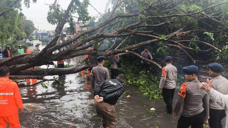 Brimob Polda Metro Gerak Cepat Tangani Banjir dan Pohon Tumbang di Priok