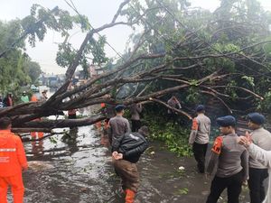 Banjir dan Pohon Tumbang di Priok, Brimob Polda Metro Turun Tangan