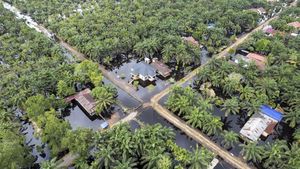 Foto Udara Luapan Sungai Dendang Rendam Desa Jati Mulyo Jambi