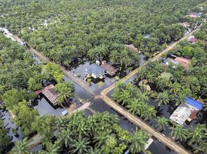 Foto Udara Luapan Sungai Dendang Rendam Desa Jati Mulyo Jambi