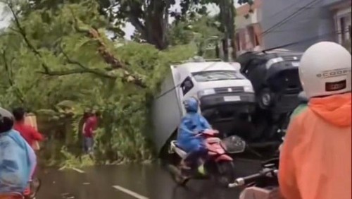 Pohon tumbang di Jalan AA Gde Ngurah, Cakranegara, Kota Mataram, Senin (12/1/2026).