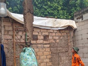 Hujan dan Angin Kencang, Pohon Tumbang Timpa 3 Rumah Warga Ciseeng Bogor