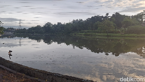 Warga Depok yang Suka Mancing Merapat, Situ Sidomukti Bisa Jadi Pilihan