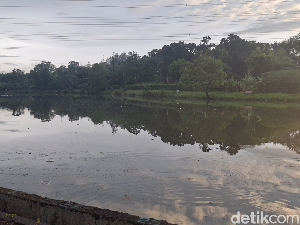 Warga Depok yang Suka Mancing Merapat, Situ Sidomukti Bisa Jadi Pilihan