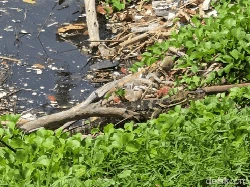 Jejak Seram Tebing Istana Presiden di Palabuhanratu
