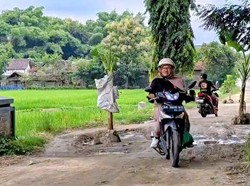 Kesal Jalan Rusak Tak Diperbaiki, Warga Mlarak Ponorogo Tanami Pisang-Pepaya