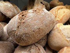 Ada Jejak Kimia Abadi di Roti dan Mi Asal 16 Negara Eropa