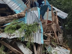 Angin Kencang Terjang Bima, Belasan Rumah Rusak-Pohon Tumbang