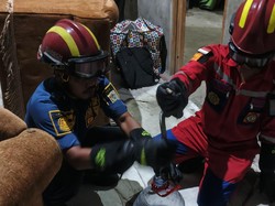 Bikin Panik! Kobra Jawa Masuk Rumah Saat Warga Klaten Rebahan di Sofa