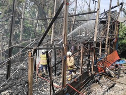 18.000 Bibit Ayam Mati Terpanggang dalam Kebakaran di Abiansemal