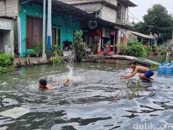 Video: Momen Anak-anak Asyik Bermain di Tengah Banjir Rawa Indah Jakut