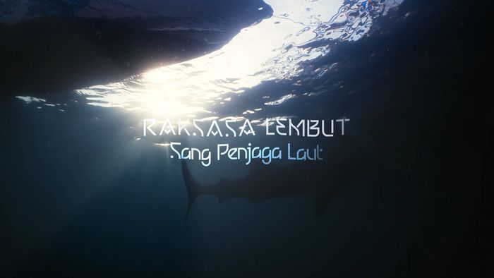 Di balik birunya laut Maratua, sang raksasa lembut menjaga keseimbangan samudra.