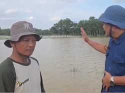 Banjir OKU Timur-OKI Sebabkan 8 Ribu Hektare Sawah Terendam