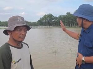 Banjir OKI Akibatkan 4.400 Hektare Sawah Terendam dan Siswa Belajar Daring