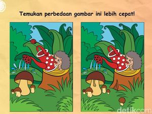 Katanya Anak Ranking 1 di Sekolah Cepat Menemukan Perbedaan di Gambar Ini