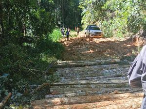 Warga Krayan Swadaya Perbaiki Jalan Pakai Kayu karena Lebih Tahan Lama