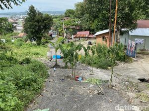 Warga Parepare Tanam Pohon Pisang-Pepaya di Jalan gegara 5 Tahun Rusak Parah