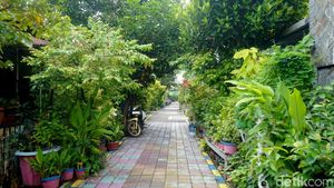 Tanaman Toga Hijaukan Kampung Lawas Maspati Surabaya