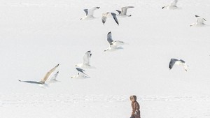 Kyiv Terbalut Salju di Tengah Ancaman Serangan Rusia