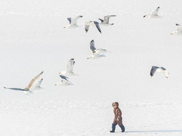 Kyiv Terbalut Salju di Tengah Ancaman Serangan Rusia