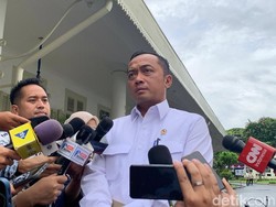 Menseseg Ungkap Keinginan Prabowo agar Desain IKN Antisipasi Karhutla
