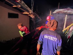 8.000 Ayam Hangus Terpanggang di Klungkung, Kerugian Rp 1 Miliar