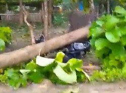 Pohon Tumbang Rusak Rumah-Motor di Labuan Bajo