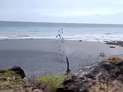 Heboh Semburan Lumpur di Pantai Liman, Warga Diminta Tak Mendekat