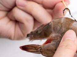 3 Tips Membersihkan Udang Sebelum Dimasak agar Enak Disantap