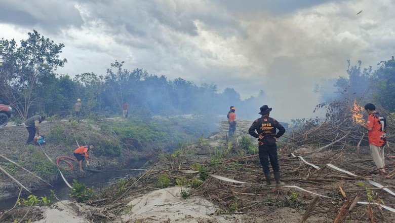 Pemadaman Karhutla Teluk Sampit Terkendala Air Minim-Tak Ada Jalan Darat