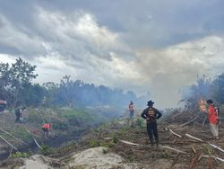 Pemadaman Karhutla Teluk Sampit Terkendala Air Minim-Tak Ada Jalan Darat