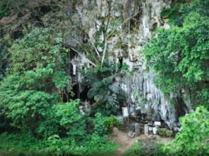 Bukti Spesies Manusia Purba 200 Ribu Tahun Ditemukan di Sulawesi