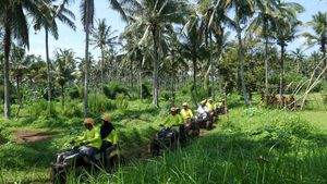 Menjelajah Alam Banyuwangi dengan Wisata ATV