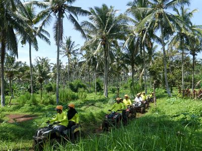 Menjelajah Alam Banyuwangi dengan Wisata ATV