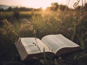 Renungan Harian Katolik Minggu Biasa III 25 Januari 2026 Lengkap Bacaannya