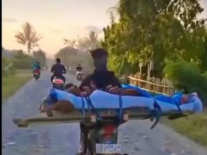 Viral Jenazah di Sulteng Dibonceng Motor gegara Ambulans Dipakai Rujuk Pasien