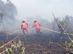Karhutla Ancam Permukiman, Kubu Raya Tetapkan Status Siaga Darurat