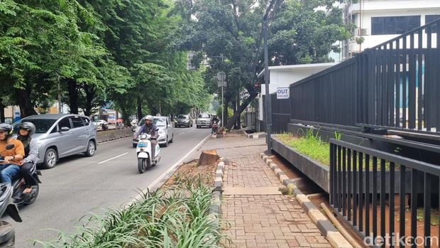 Bäume in Kebayoran Lama, Süd-Jakarta, wurden illegal von skrupellosen Staatsbeamten (ASN) gefällt. Die Narben der Baumfällung sind vor Ort noch sichtbar. (Taufiq/detikcom)
