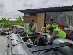 Mbah Narti Pengungsi Banjir Kudus Nangis Ingat 7 Kucingnya, Polisi Turun Tangan
