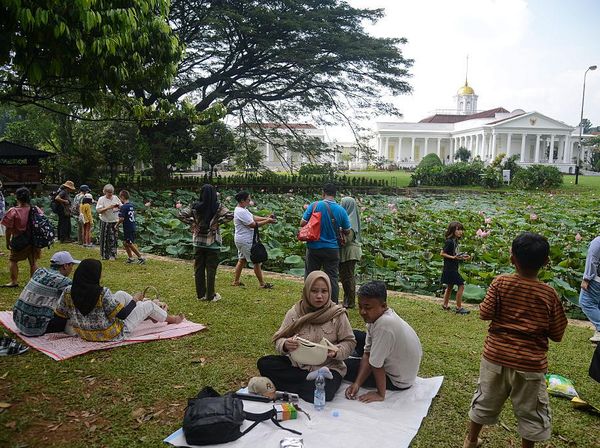 Menyusuri 10 Kebun Raya Terbaik Dunia, Ada Bogor