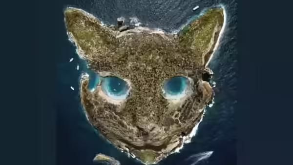 Tes kepribadian ilusi optik untuk ungkap cara hadapi tekanan hidup