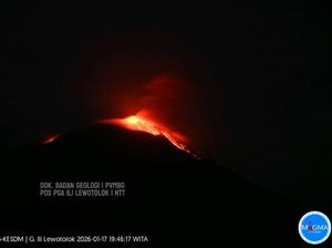 Gunung Ile Lewotolok Kembali Erupsi hingga Lontarkan Material Pijar Malam Ini