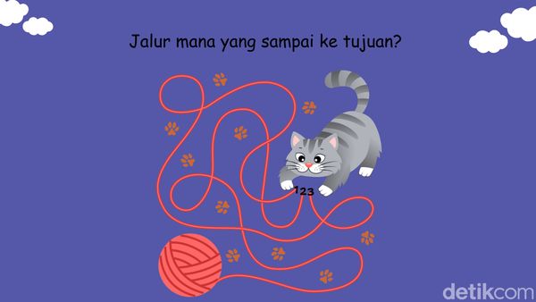 Hanya Satu Jalur yang Benar, Bisa Temukan Tanpa Menelusur pakai Telunjuk?