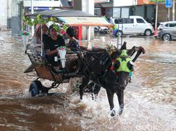 Titik Banjir di Jakarta Bertambah Jadi 48 RT-29 Ruas Jalan