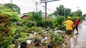 Lapak Tanaman Hias Berantakan Usai Diterjang Banjir Bekasi
