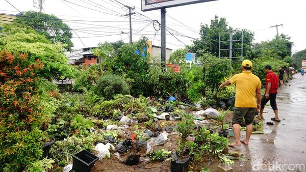 Lapak Tanaman Hias Berantakan Usai Diterjang Banjir Bekasi