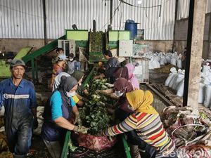 Sampah Sayur dan Buah di Pasar Caringin Diolah Jadi Pakan dan Bioetanol
