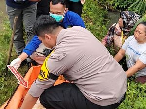 Kronologi Penemuan Jasad Bayi di Empang Bogor, Sempat Dikira Boneka
