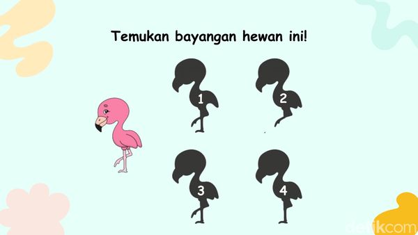 Bayangan Mana yang Sesuai? Simpel tapi Hanya IQ Super yang Tak Terkecoh
